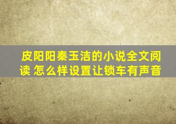 皮阳阳秦玉洁的小说全文阅读 怎么样设置让锁车有声音